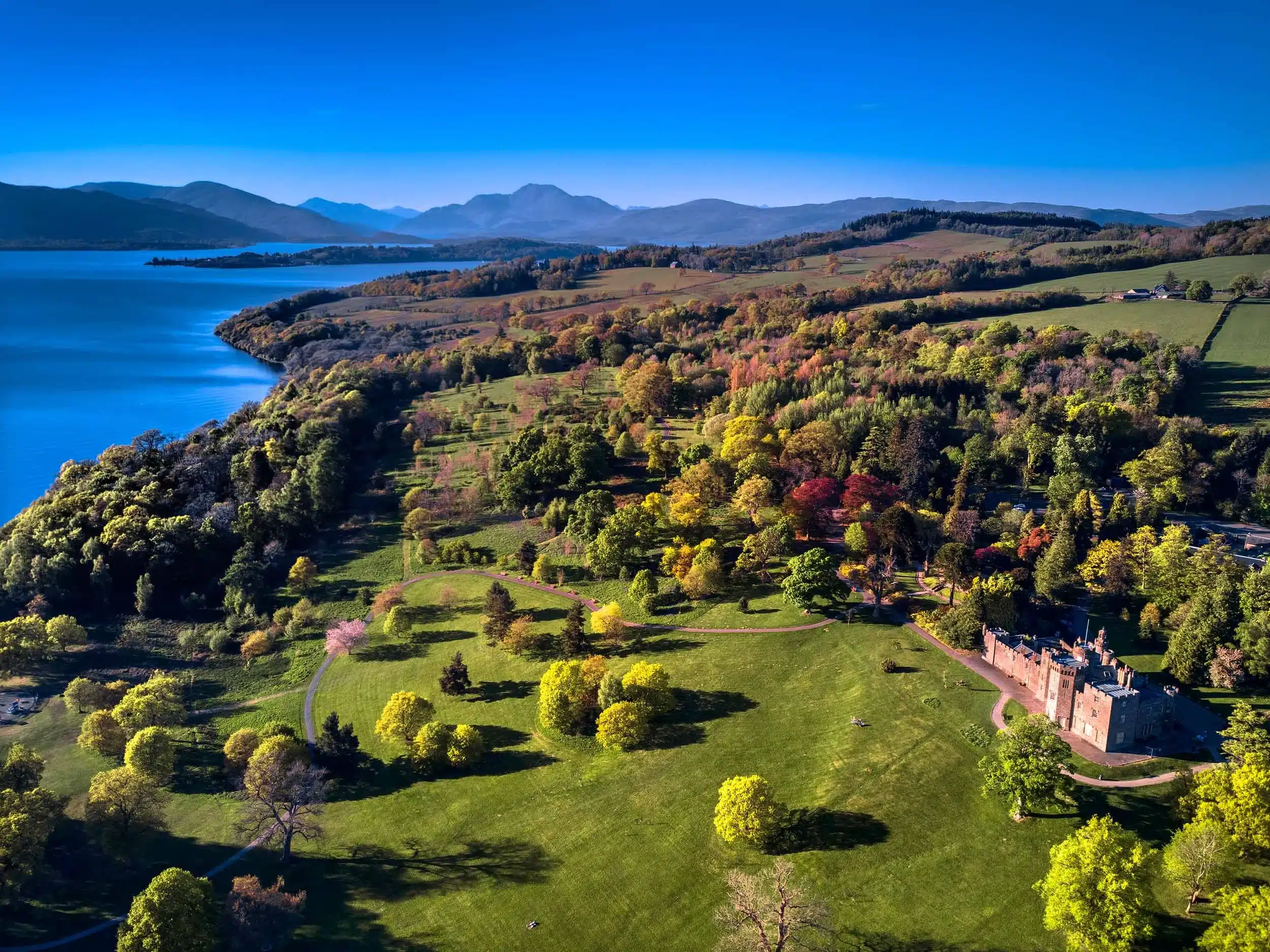 Why Guests Book Direct with Us